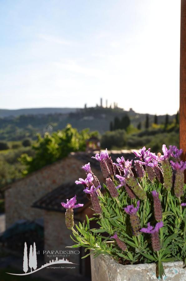 Il Paradisino San Gimignano'S Best Countryside Exterior foto